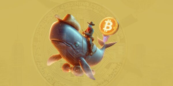 Crypto Whale