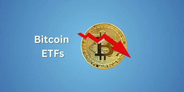 Bitcoin spot ETFs