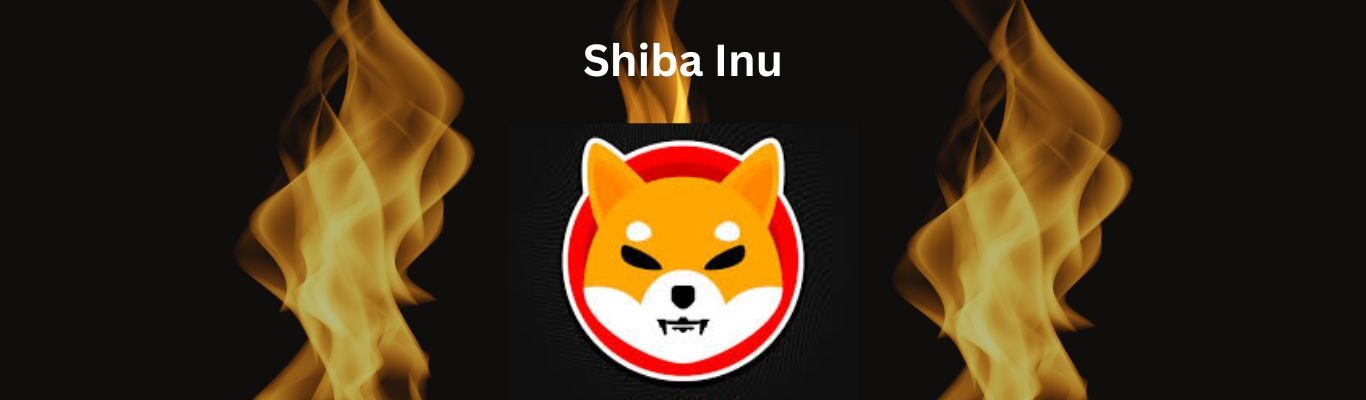 Shiba Inu Burn Rate