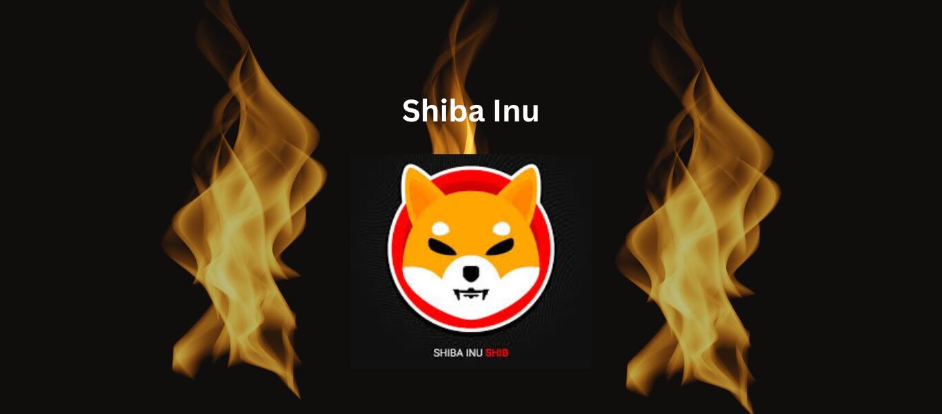 Shiba Inu Burn Rate