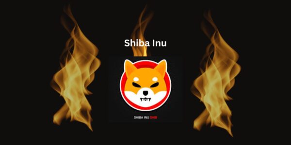 Shiba Inu Burn Rate